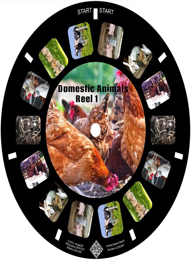 MayKo Farm Animal Reels for Viewfinder, Domestic Animals, Compatible with Viewmaster Classic Viewers. Set of 3 (Reels Only) - Image 2